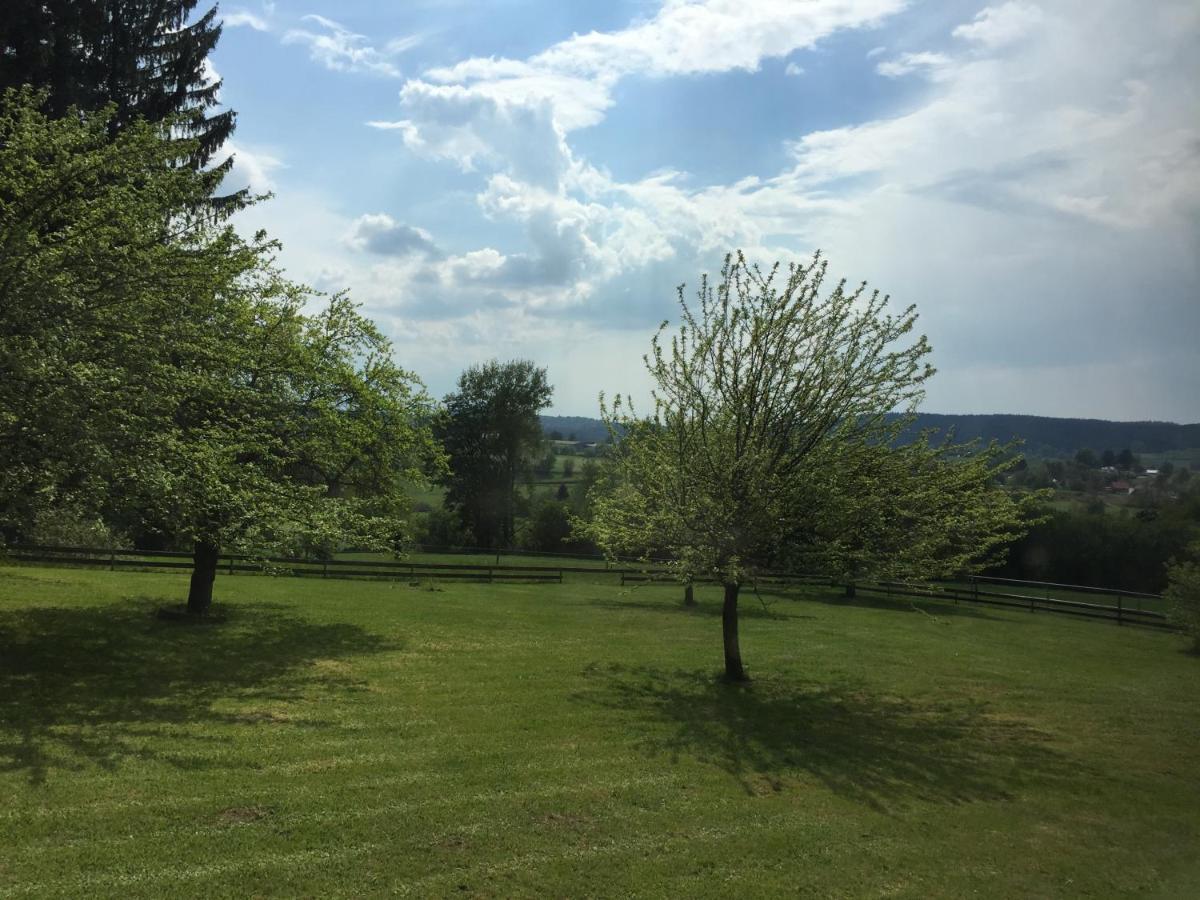 Pension Berghof Schönsee Екстериор снимка